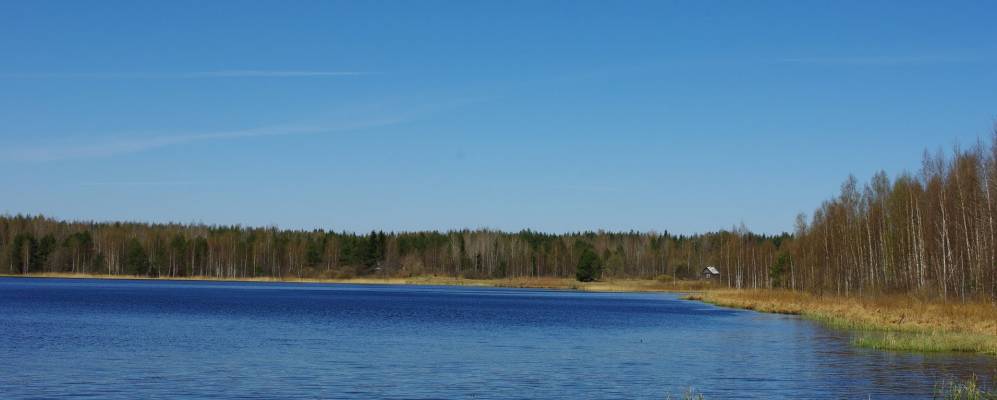 
            Фотография Дудино