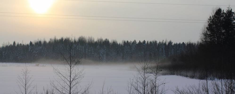 Фотография Гусихи