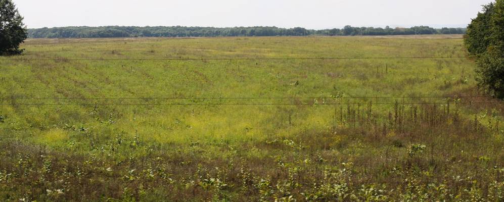 
            Фотография Старомогилёвского