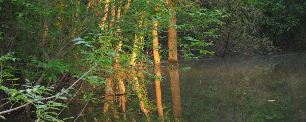 
            Фотография Обухова