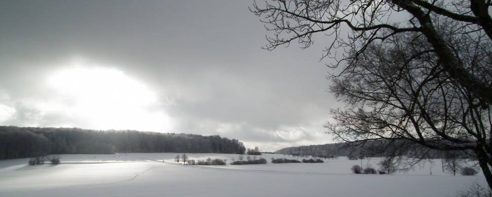 
            Фотография Эркенбрехтсвайлера