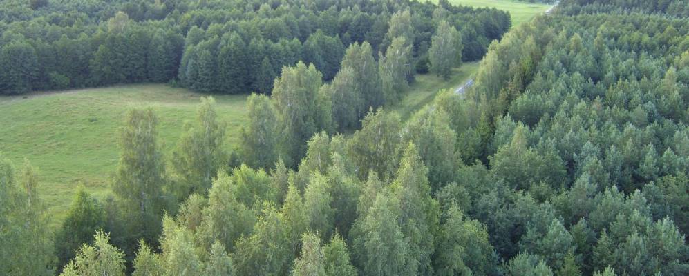 Фотография Дзержиново