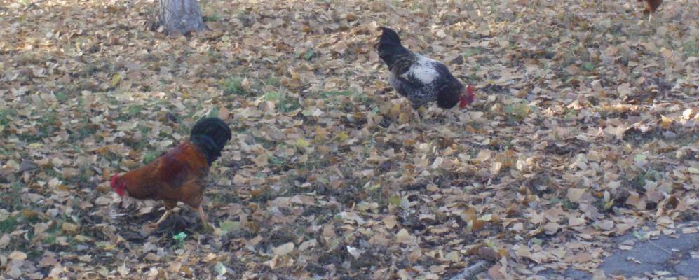 
            Фотография Любого