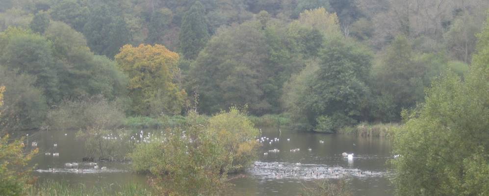 
            Фотография Чайлуорта