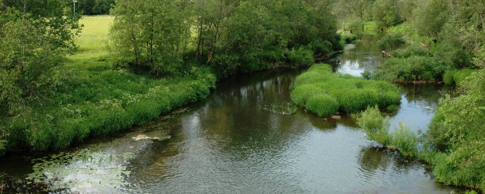
            Фотография Копарихи
