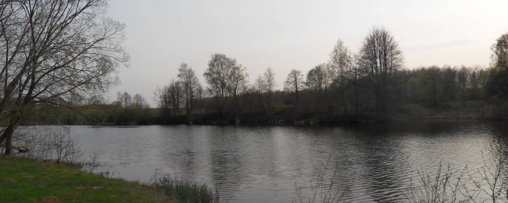 
            Фотография с.т. Липки