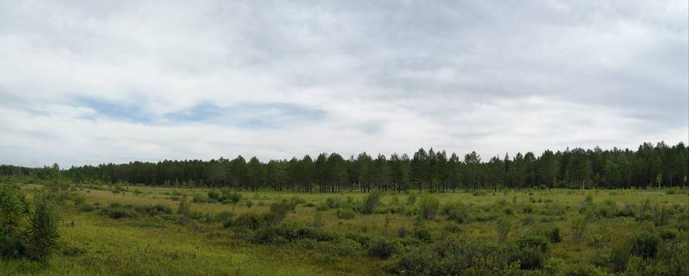 Фотография Новоясачного