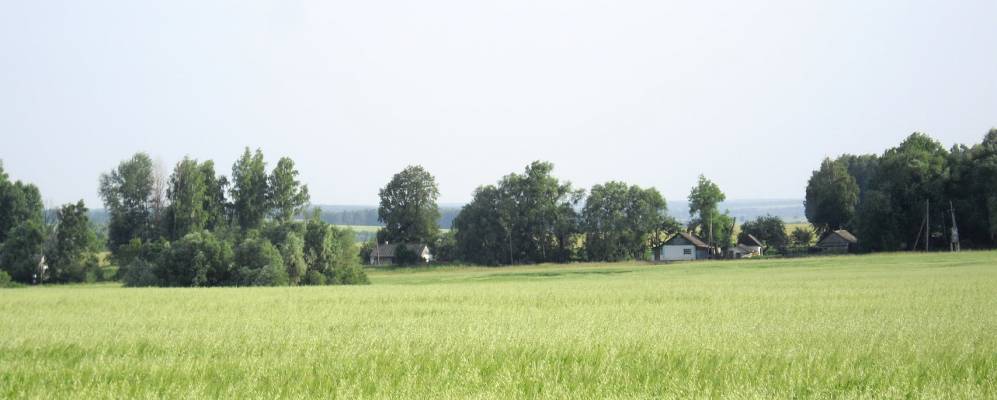 
            Фотография Грязного