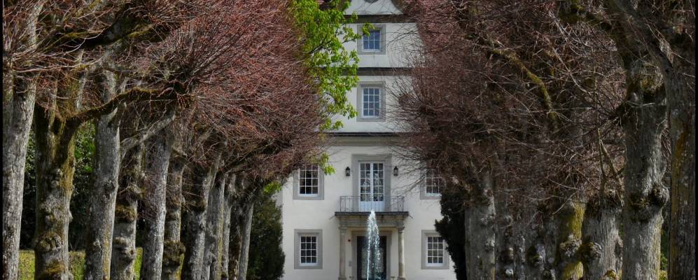 
            Фотография Цвайфлингена