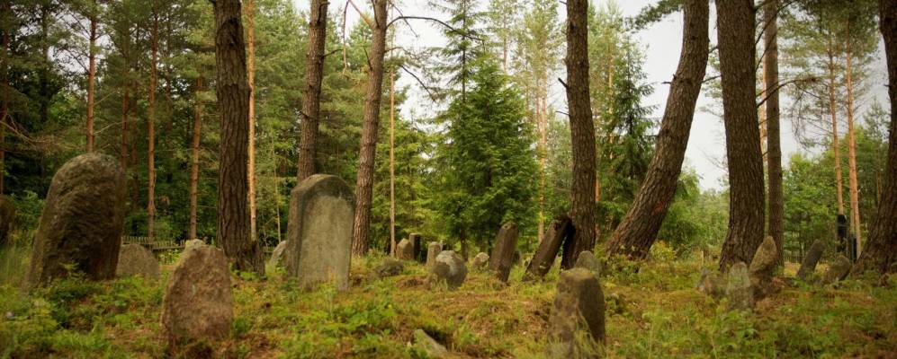 
            Фотография деревни Козики