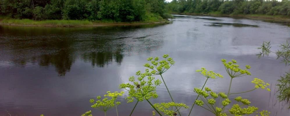 Фотография Чевакино