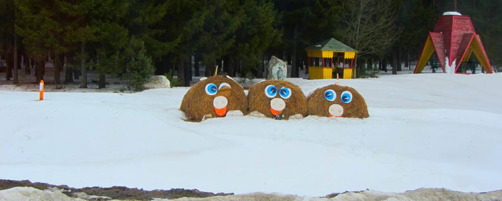 
            Фотография Латышёво