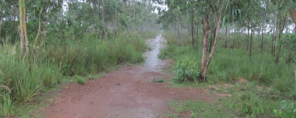 
            Фотография Патрасаера