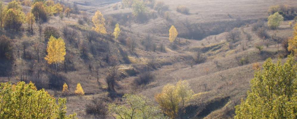 Фотография Кошкино