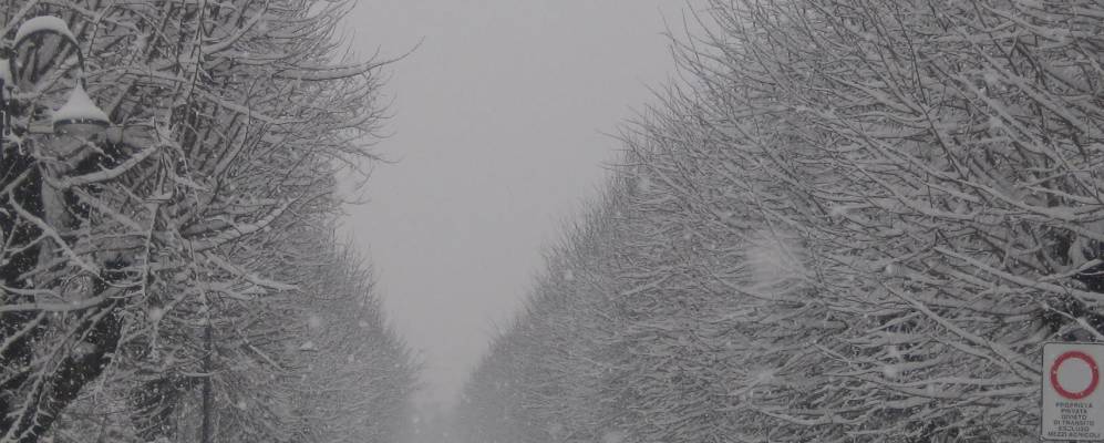 
            Фотография Ломаньы