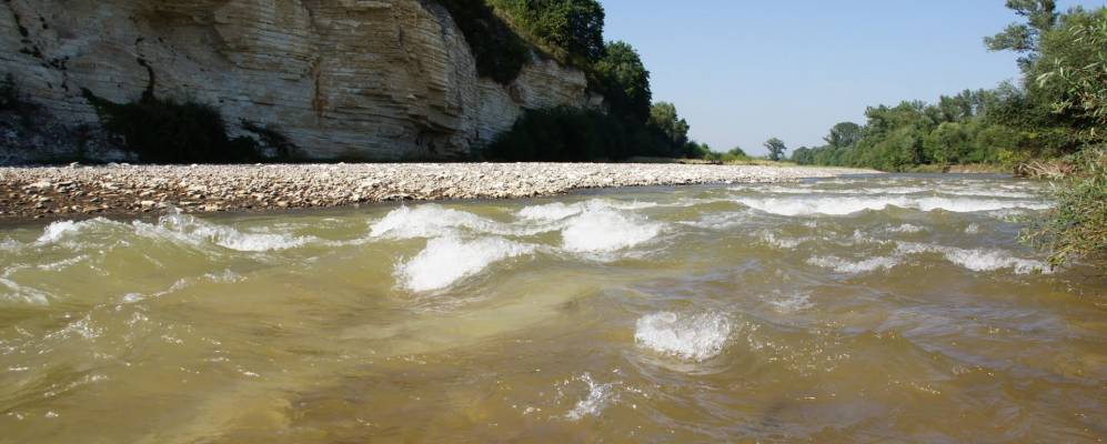 
            Фотография Столярова