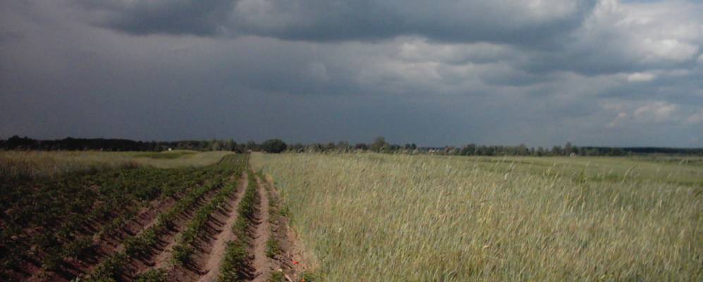 
            Фотография Красноволи