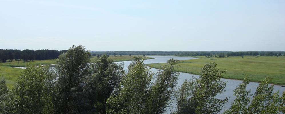 
            Фотография Гузеево