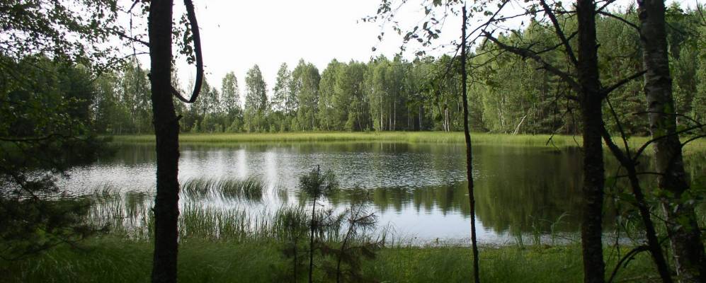 
            Фотография Рудни