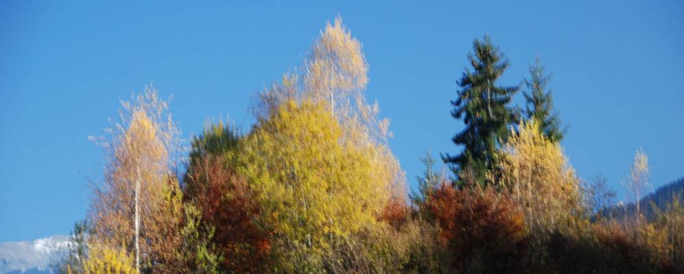 
            Фотография Морийона