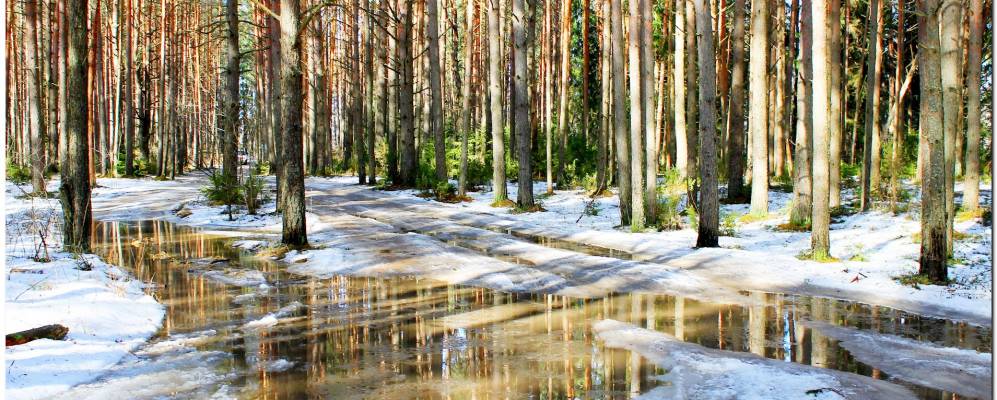 
            Фотография Ерошихи