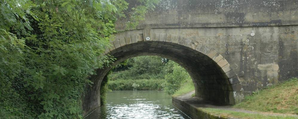 
            Фотография Девицеза