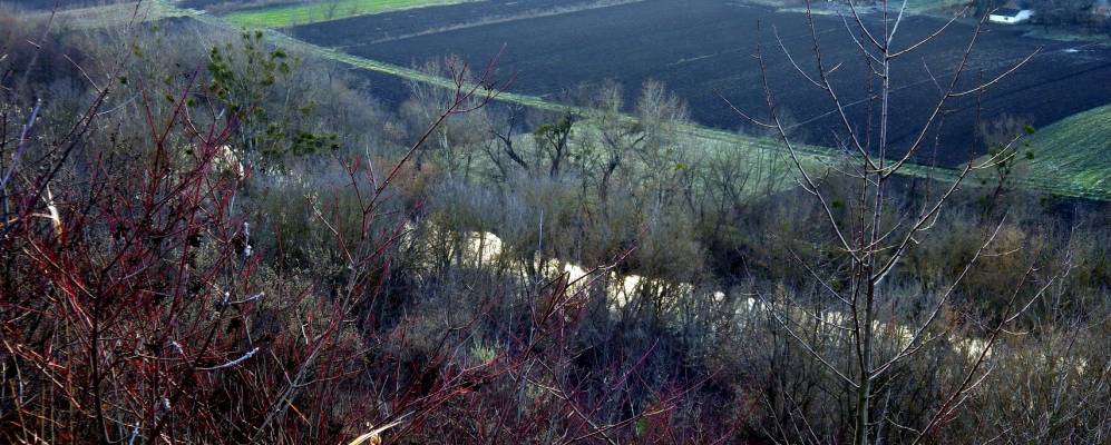 
            Фотография Тарасовки