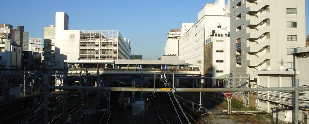 
            Фотография Кашивы