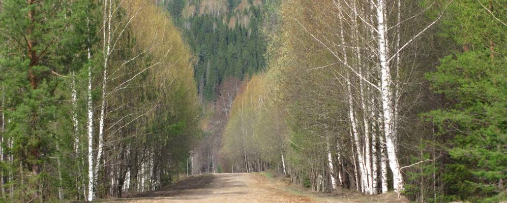 
            Фотография Цыган