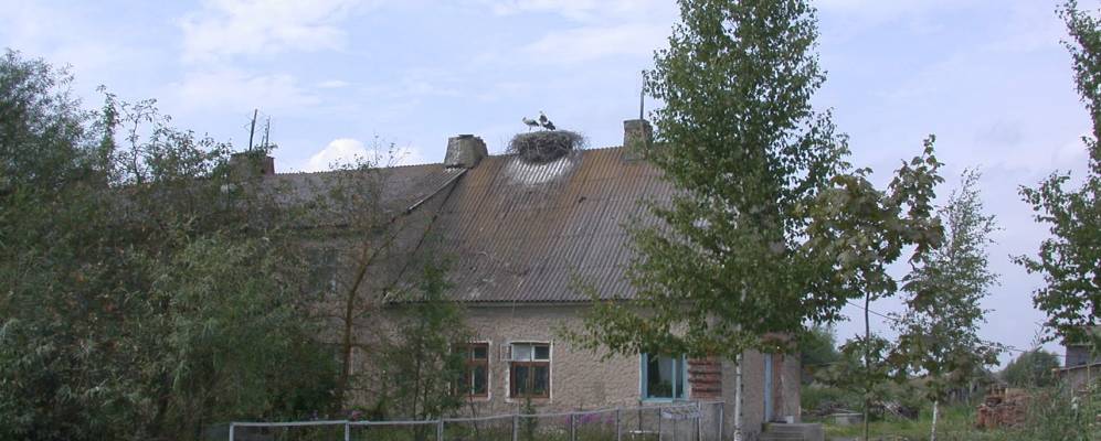 
            Фотография Озёрного