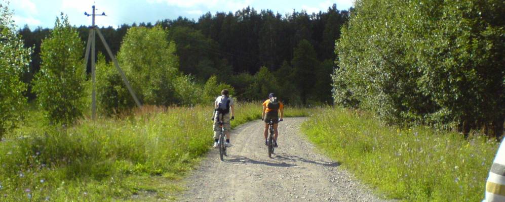 
            Фотография Сосновки