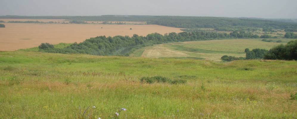 
            Фотография Красного