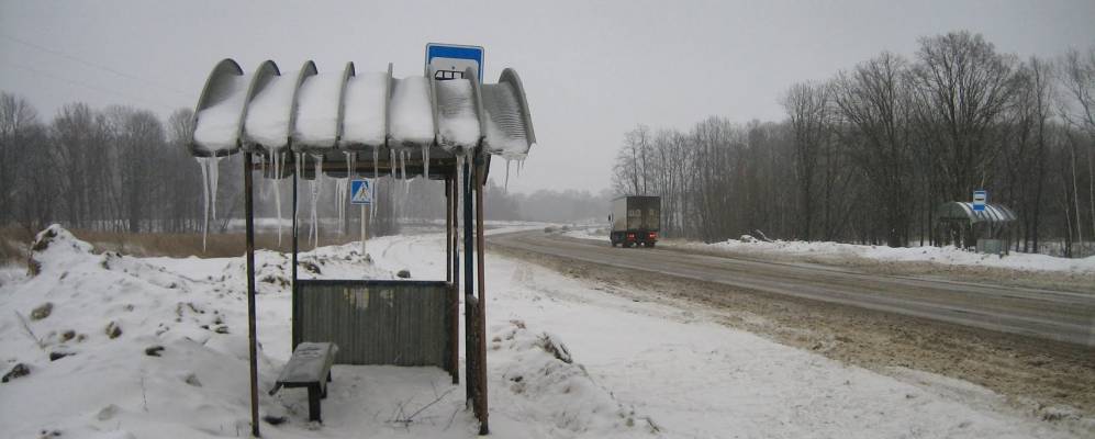 
            Фотография Нового