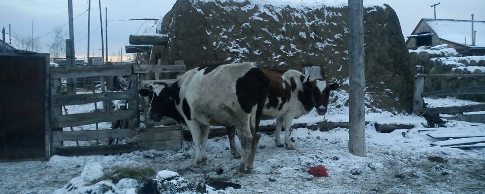 
            Фотография Крест-Кытыла