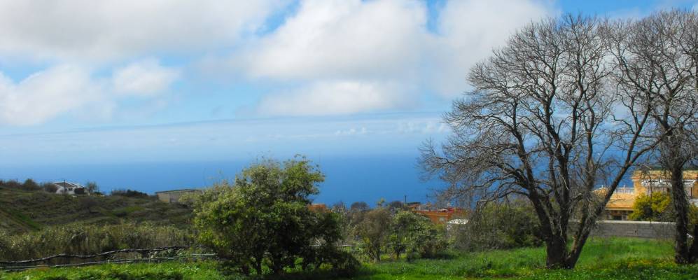 
            Фотография Такоронте