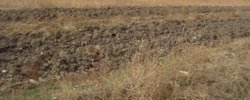 
            Фотография Ковачи