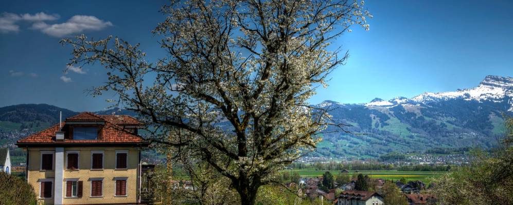 Фотография Туггена