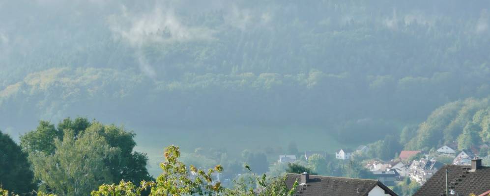 
            Фотография Вильхельмсфельда