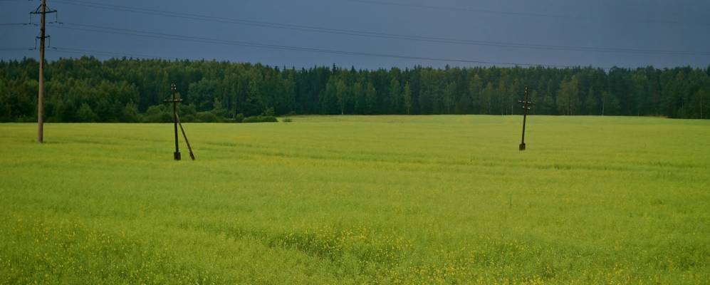 Фотография Ситниково