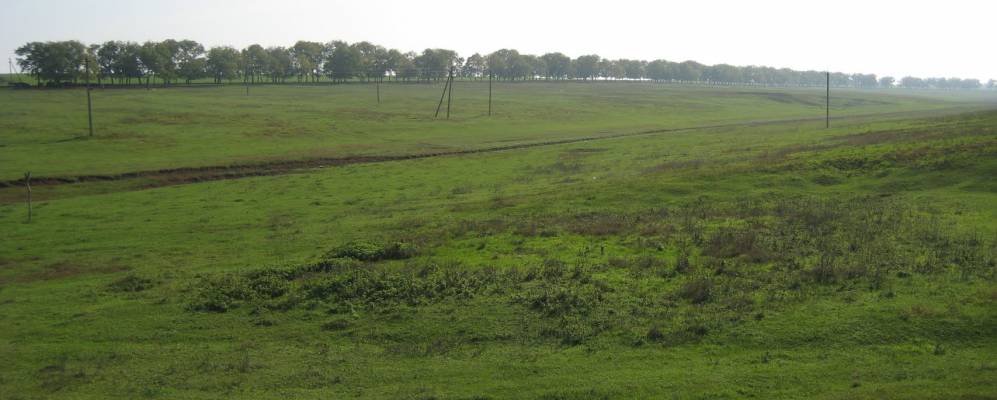 
            Фотография Андреевки