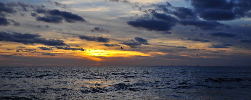 
            Фотография Сон-Боу