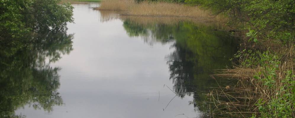 
            Фотография Кручи