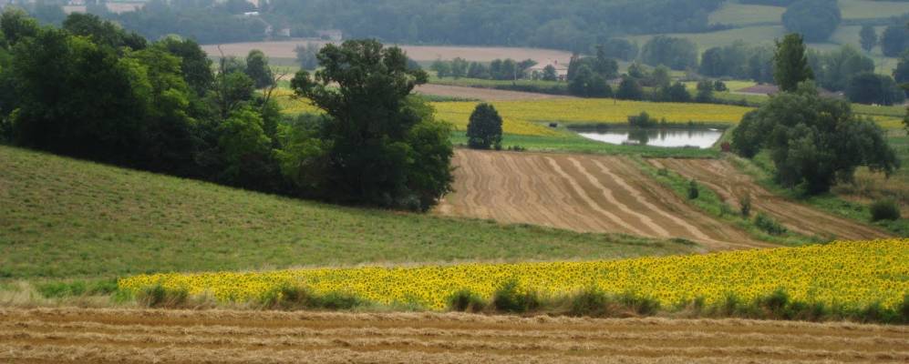 
            Фотография Кайяк