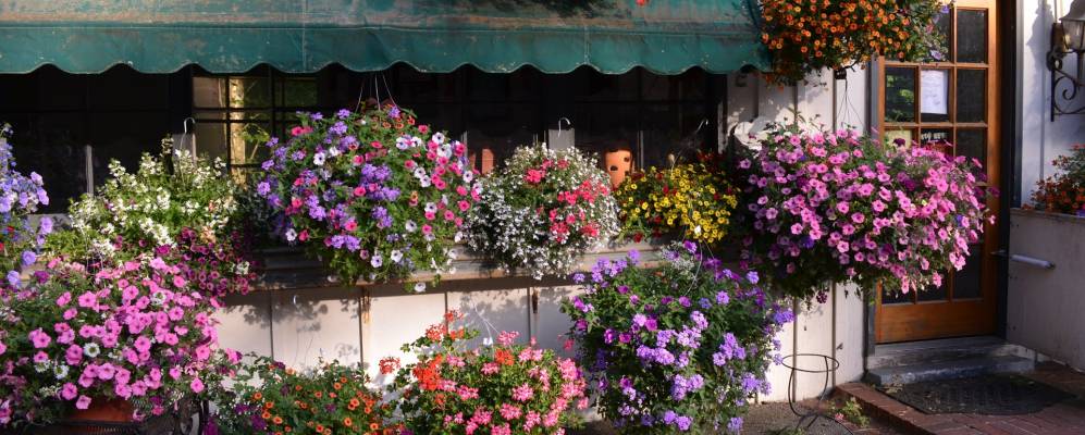 
            Фотография Террейс Парка