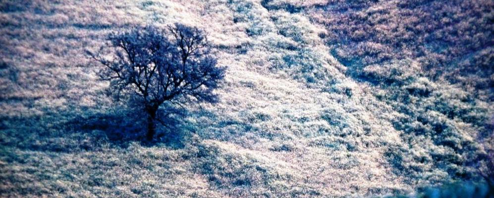 
            Фотография Монтепагано