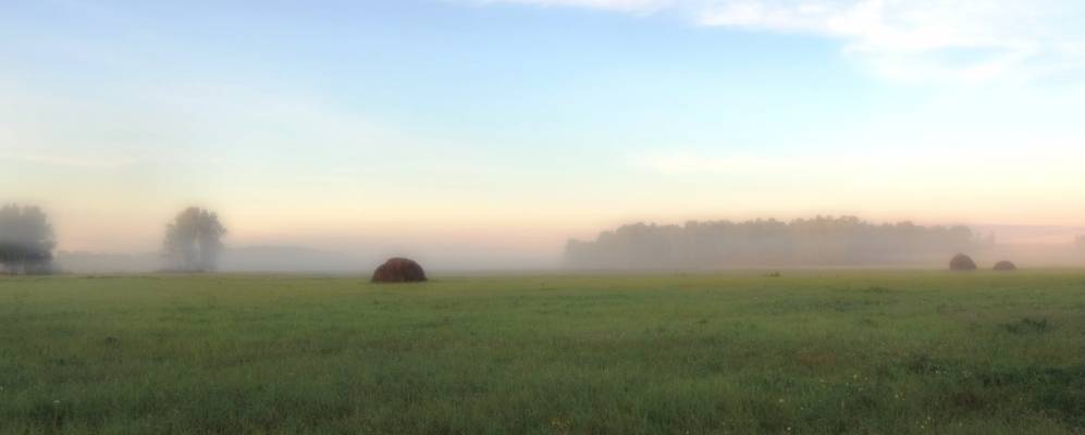 
            Фотография Классино