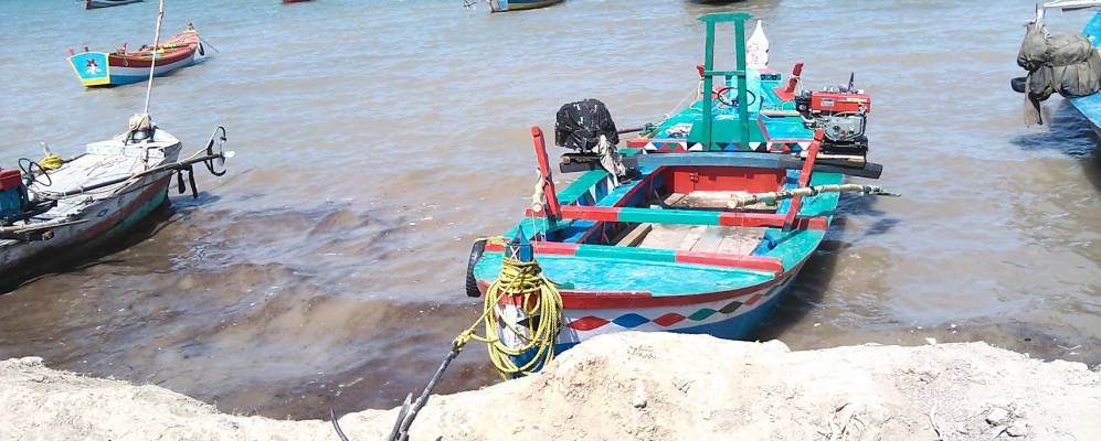 
            Фотография Халабата