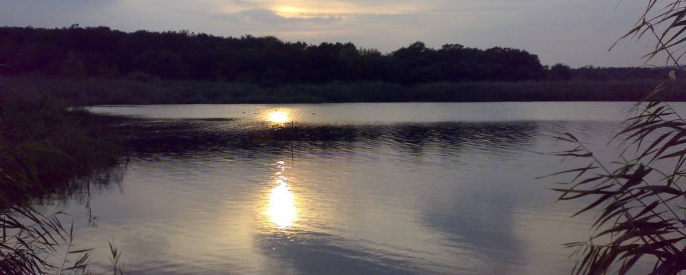 Фотография Шевченко