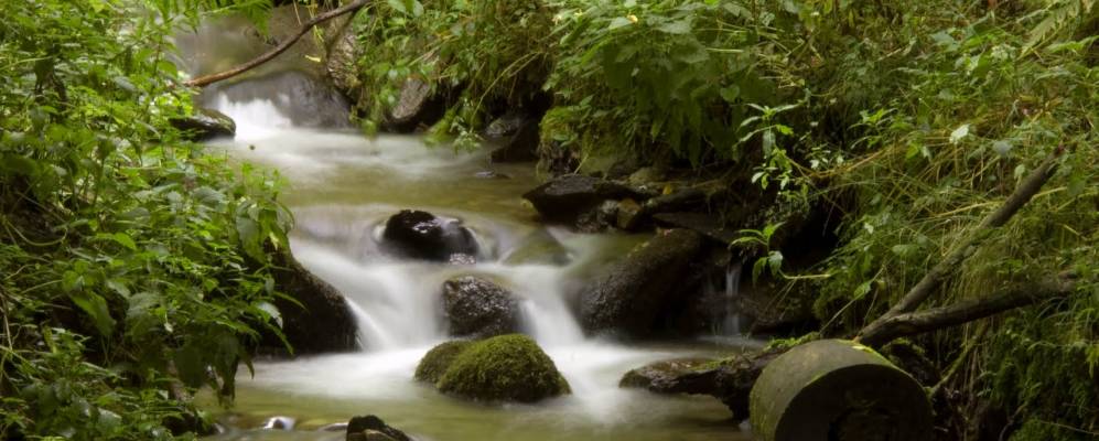 
            Фотография Дойчберга