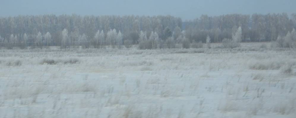 
            Фотография Ясеневки